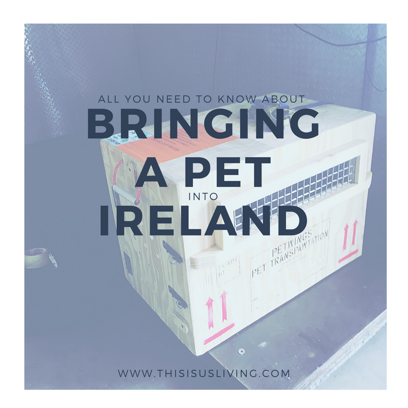 bringing a pet into Ireland