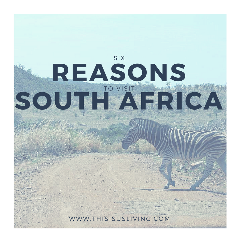 Six reasons to visit South Africa