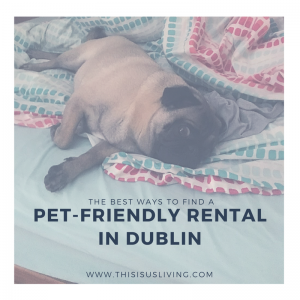 Although it is super tricky to find a rental that is pet friendly, it is possible. I tried to list a few of the considerations you should have when looking for a pet-friendly rental in Dublin.